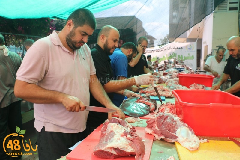 lod8om ada73y (9).JPG